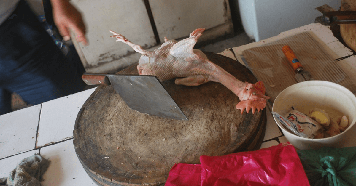 Butchering Chickens Featured Image
